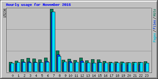 Hourly usage for November 2016